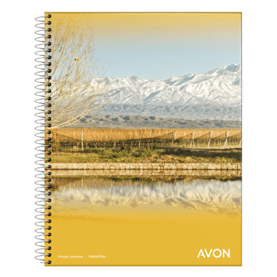 100783 LEDESMA                                                      | CUADERNO ESPIRAL AVON 22X29 84H CUADRICULADO - CAJA X 40                                                                                                                                                                                                  