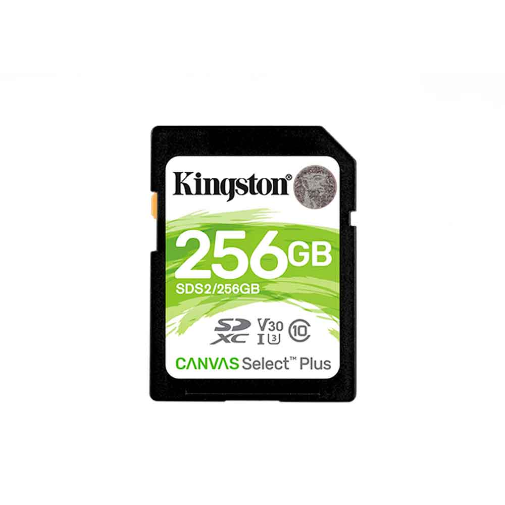 SDS2/256GB